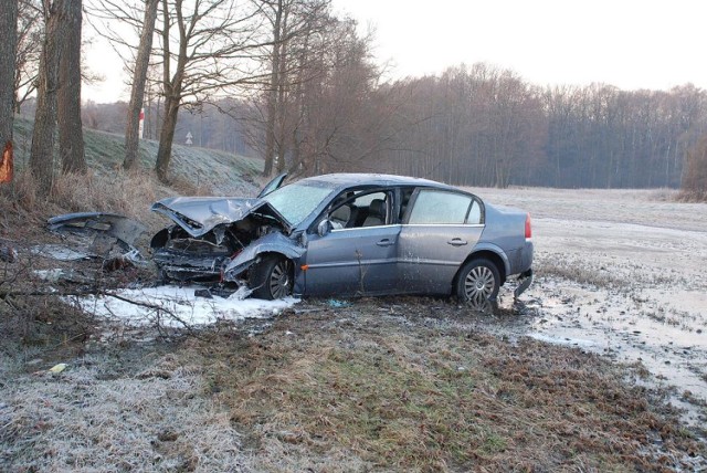 Sitno - 18-letni kierowca zasnął za kierownicą i uderzył w drzewo.