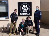 Policjanci i pracownicy komendy w Kartuzach wsparli Animalsów
