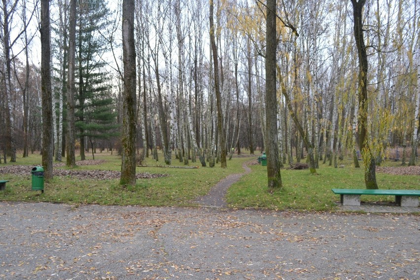 Park im. Lotników Polskich na Osiedlu Stałym w Jaworznie