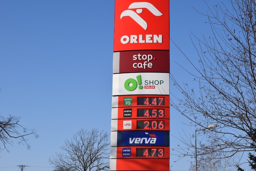 Ceny paliw Gniezno. Ekspert: ceny paliw na świecie ustabilizują się. Gdzie najtańsze paliwa w mieście?