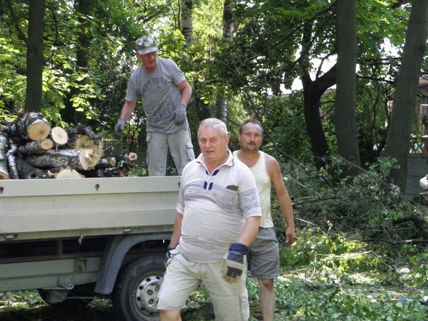 Park Staromiejski Żory: Trwa porządkowanie parku [ZDJĘCIA]