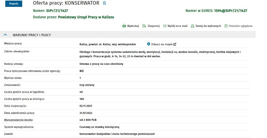 Nowe oferty pracy w Powiatowym Urzędzie Pracy w Kaliszu. Sprawdź za jaką stawkę