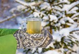 Zielona zimowa herbatka od Zielarki z Kampera. Poczuj zapach lasu i nie daj się chorobie! Pomaga odkrztusić wydzielinę i wspiera odporność
