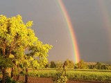 Piękna tęcza w Częstochowie. Mieszkańcy fotografują niebo