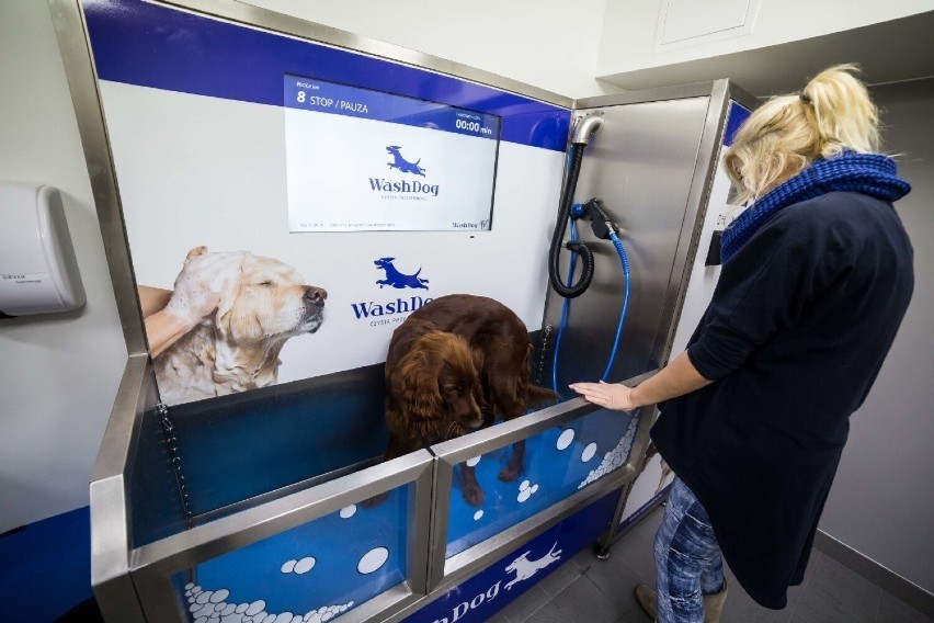 Samoobsługowa myjnia dla psów powstaje w Jeleniej Górze