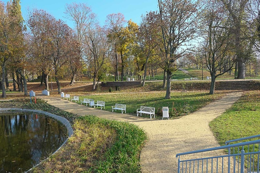 Złota, polska jesień w parku w Żarach