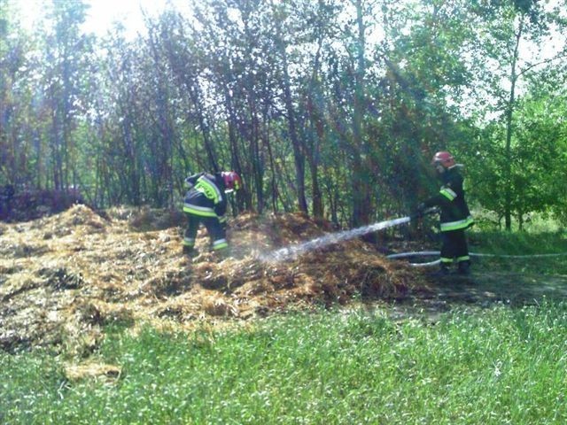 Krotoszyn - Strażacy gasili pożar na ul. Żwirowej. Paliły się baloty słomy i nieuzytki ZDJĘCIA