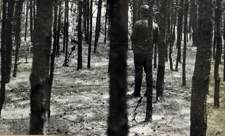 Miejsce w lesie, w którym Czesław S. zastrzelił kota