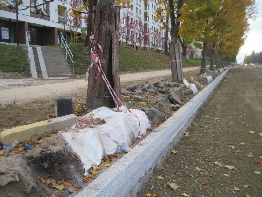 W trakcie remontu  Al. Racławickich uszkodzono drzewa. Upomniano wykonawcę przebudowy drogi