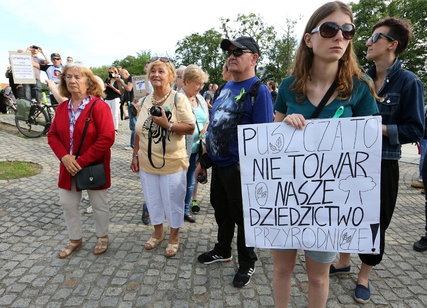 "Stop wycince lasów!". Szczecinianie pikietowali w obronie Puszczy Bukowej [zdjęcia, wideo]