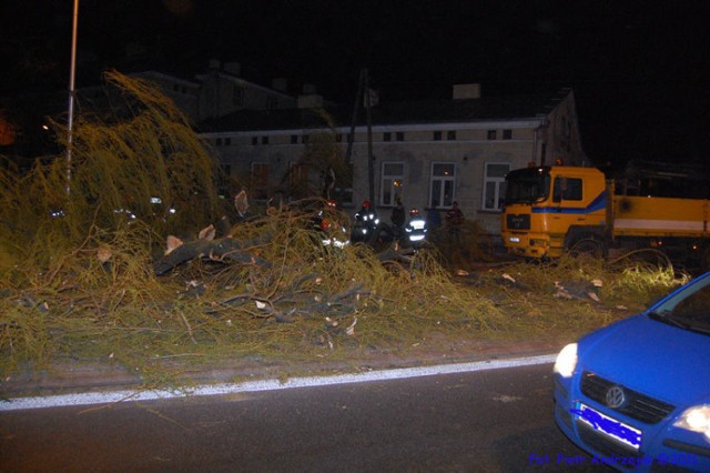 Do usunięcia powalonego drzewa przybyły dwa zastępy z PSP. Fot. Piotr Andrzejak