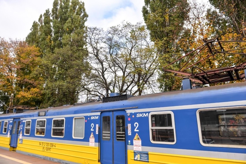 Ponad tysiąc drzew przy torach SKM zostanie wyciętych?