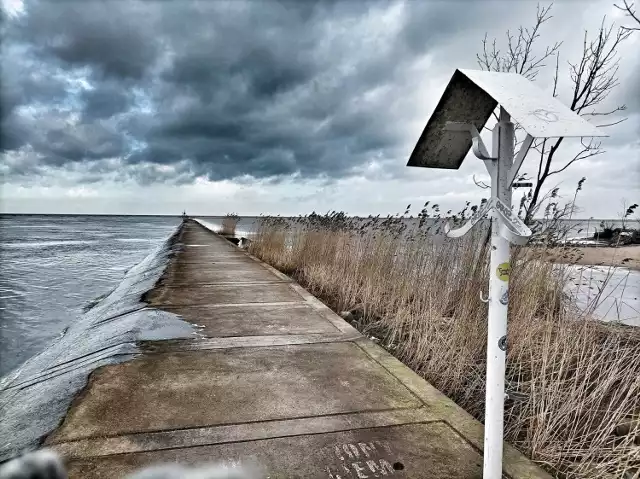 Obrazki z Mikoszewa - natura nad Zatoką Gdańską, zima 2023