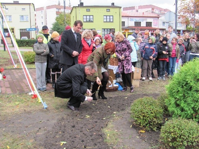 Myszków: Posadzili żonkile na Polach Nadziei