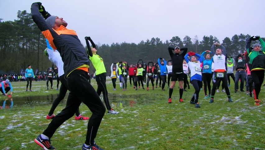 Bieg CITY TRAIL w Bydgoszczy. Zwycięstwo Marcina Biskupa i Aleksandry Brzezińskiej [zdjęcia, wideo]