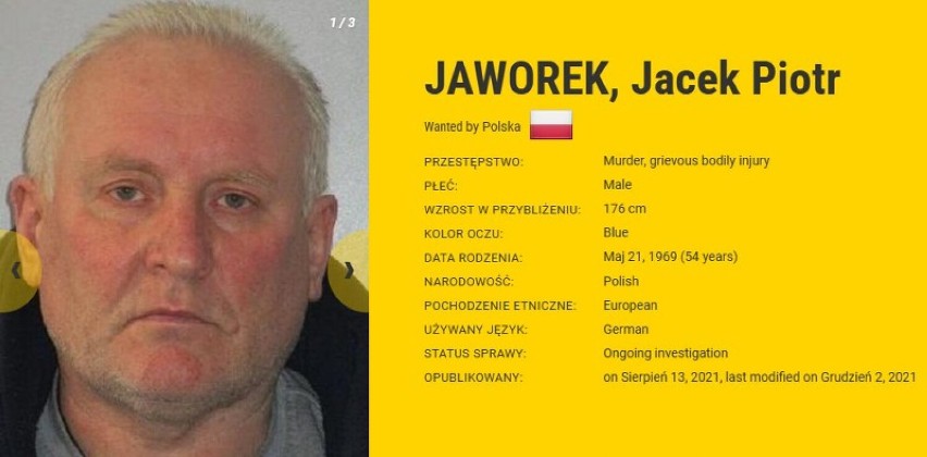 Poszukiwany Jacek Jaworek