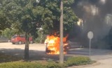 Na parkingu przed urzędem miasta spłonął samochód. Zapalił się... sam [WIDEO]