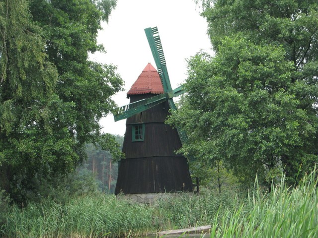Bieg Niepodległości odbędzie się w lasach w Zielonej, rekreacyjnej dzielnicy Kalet. Na zdjęciu stary wiatrak na wyspie na stawie w Zielonej