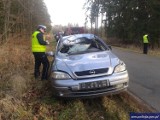 Wypadek w Błąkałach. Łoś zginął pod kołami auta [ZDJĘCIA]