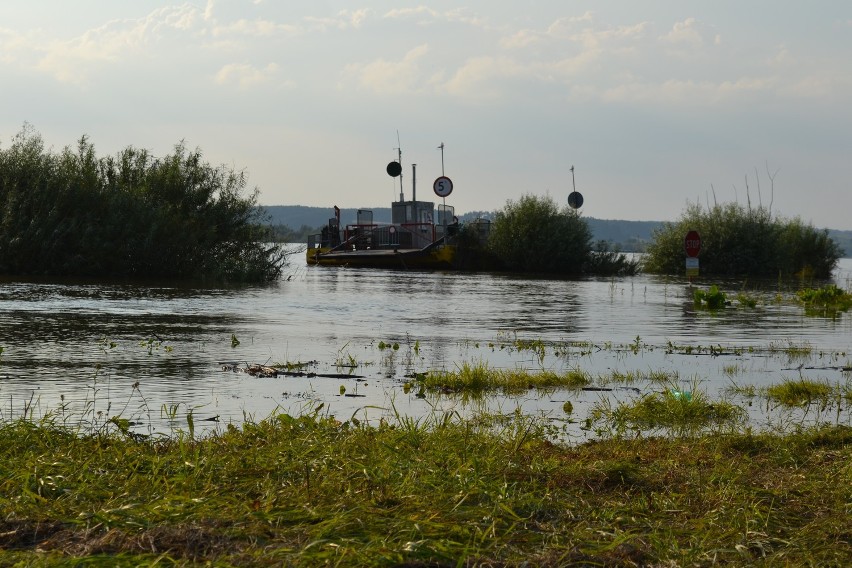 Wysoki poziom wody w Wiśle. Zalany plac w Korzeniewie [FOTO]