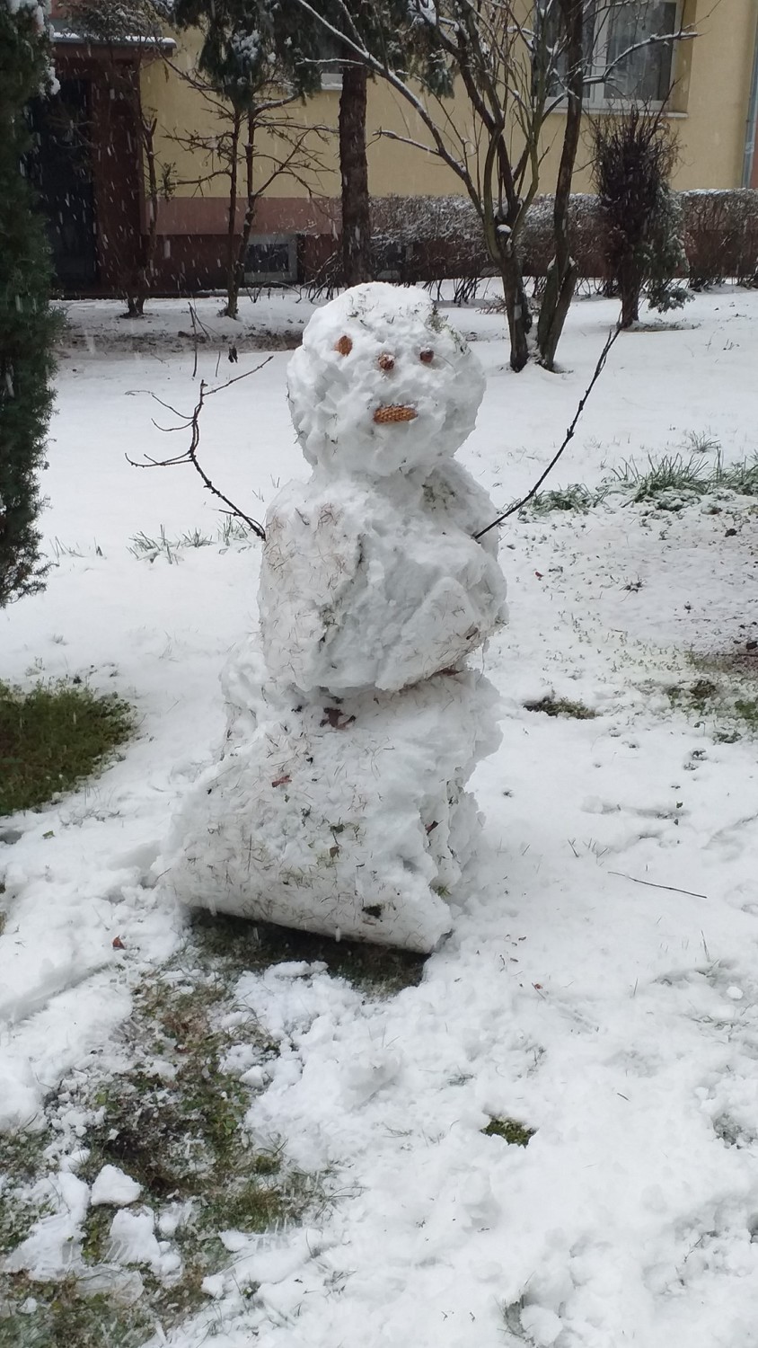 Bałwany, smoki i inne stwory lepią mieszkańcy Żary i okolic.