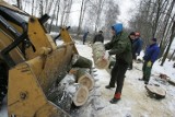 Dąbrowa Górnicza Pogoria wycinka drzew: wycinka będzie trwała nadal 