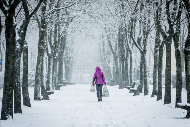 Prognoza pogody, Warszawa. Jeszcze wróci śnieg!