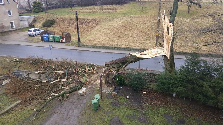 Wiatr w Wałbrzychu i okolicy powalił ponad 2000 drzew! Zniszczył auta, uszkodził dachy, porwał domek, zerwał linie energetyczne AKTUALIZACJA