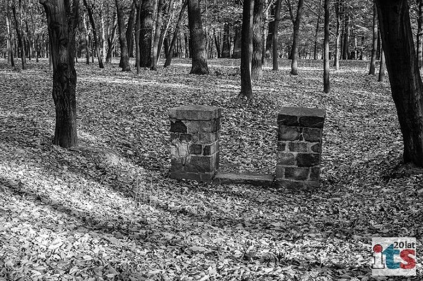 Tak wyglądał park miejski w Skierniewicach ponad 10 lat temu. Zdjęcia z redakcyjnego archiwum