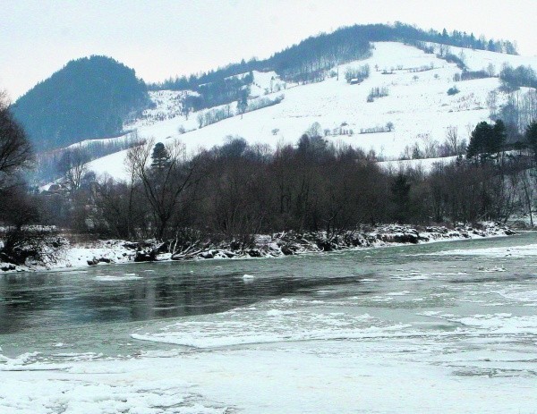 Rzeka Poprad między Barcicami a Piwniczną-Zdrój