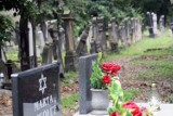 Cmentarz Żydowski w Legnicy powstał 183 lata temu, zobaczcie zdjęcia jak wygląda dzisiaj