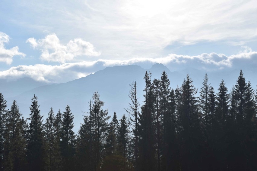 Niezwykłe zjawisko nad Tatrami. Czy czeka nas wiatr halny? [ZDJĘCIA]