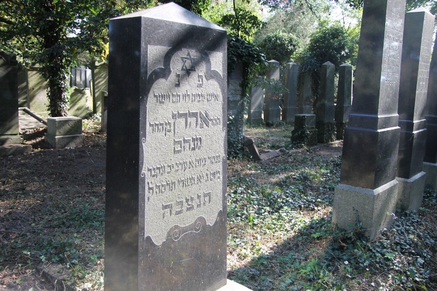 Inwentaryzowali jeden z największych cmentarzy żydowskich w Wielkopolsce [ZDJĘCIA]