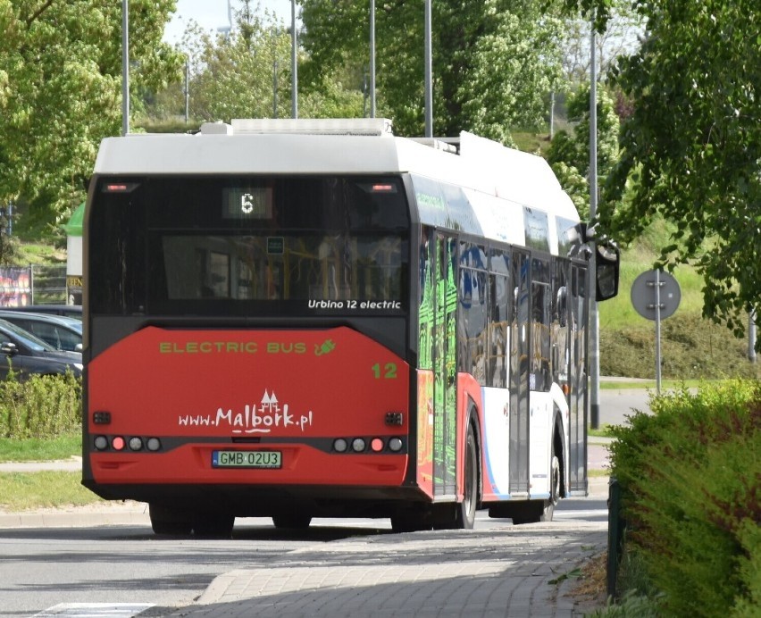 Darmowa komunikacja w Malborku