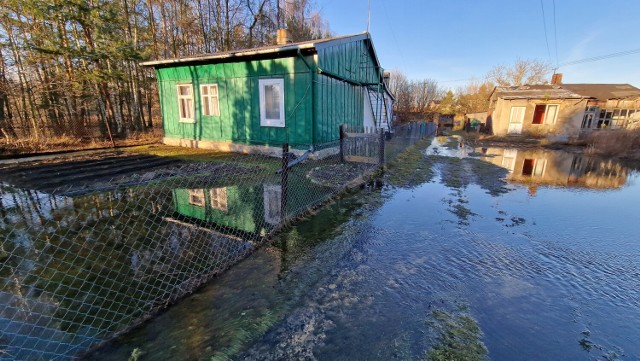Luciąża zalała kilka domostw w Przygłowie, Pilica osiągnęła stan ostrzegawczy