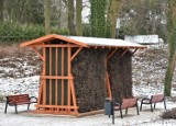 Nowa tężnia w Malborku stanęła w parku. Czy solanka zabije ponadstuletnie drzewa? Martwi się o nie mieszkaniec, który napisał do redakcji