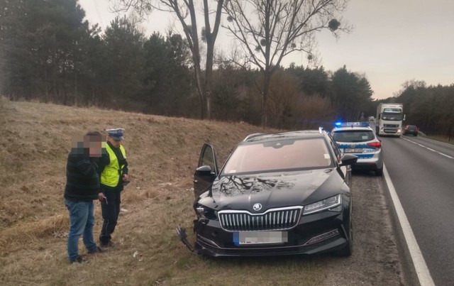 Policja ostrzega przed zwierzętami leśnymi, które mogą wtargnąć na drogę. Taka sytuacja przydarzyła się kierowcy, który jechał krajową "10" między Bydgoszczą a Toruniem