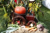 "Warzywa, owoce, kwiaty" - wystawa w Ogrodzie Botanicznym