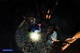 Fabryka amfetaminy w lesie pod Opolem. Policjanci z zarządu CBŚP w Opolu zatrzymali dwóch mieszkańców gminy Dobrzeń Wielki