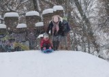 Saneczkowe szaleństwo w parku Tadeusza Kościuszki w Radomiu. Mnóstwo dzieci zjeżdżało z zaśnieżonej górki. Zobacz zdjęcia