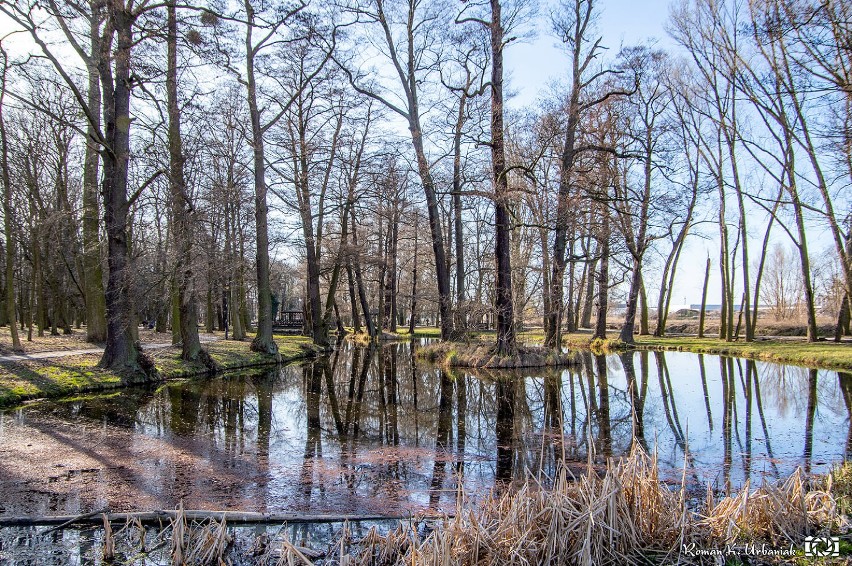 Pleszew. 16-latek wrzucił worek ze śmieciami do stawu w...