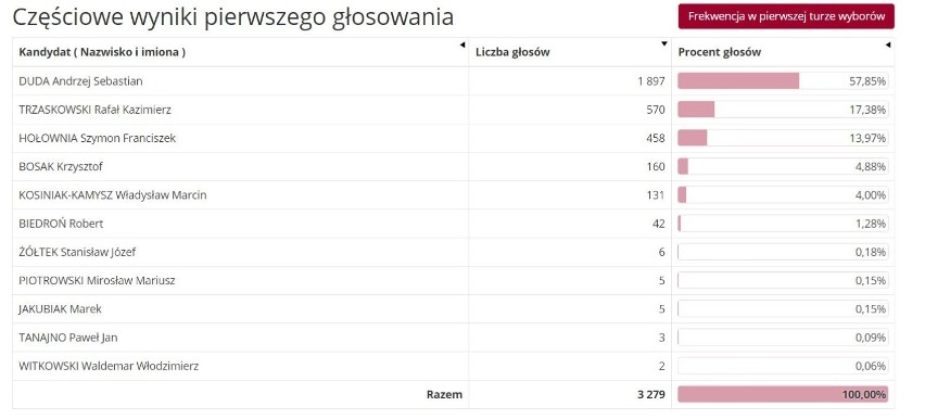 Tak głosowali mieszkańcy miasta i gminy Dobrzyń nad Wisłą.