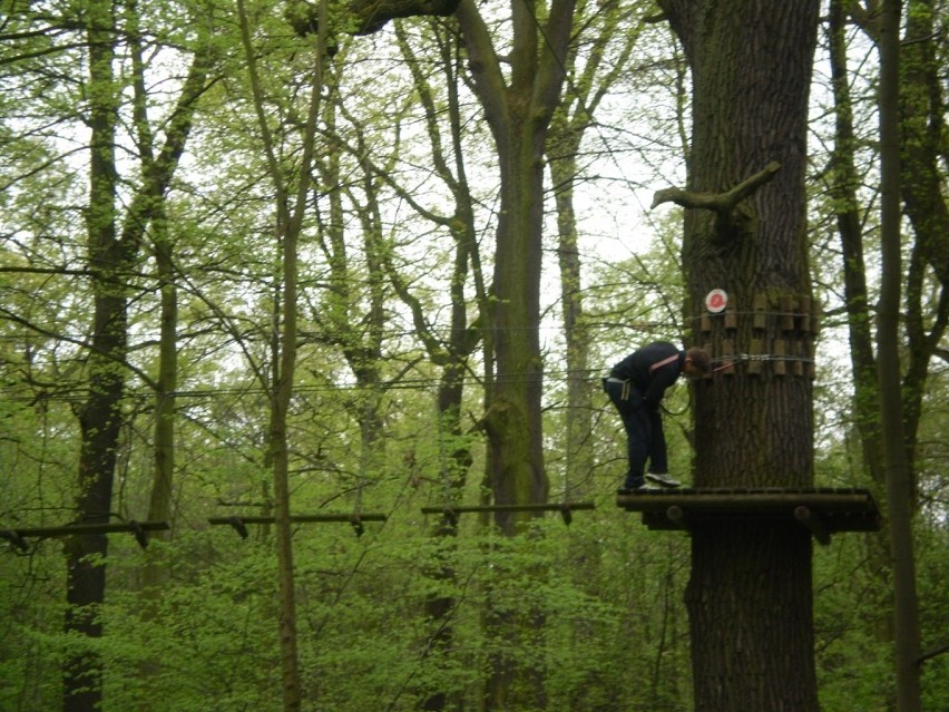 Park linowy na Wyspie Opatowickiej już otwarty