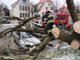 Sławno: Orkan Ksawery zniszczył auto [ZDJĘCIA i wideo]