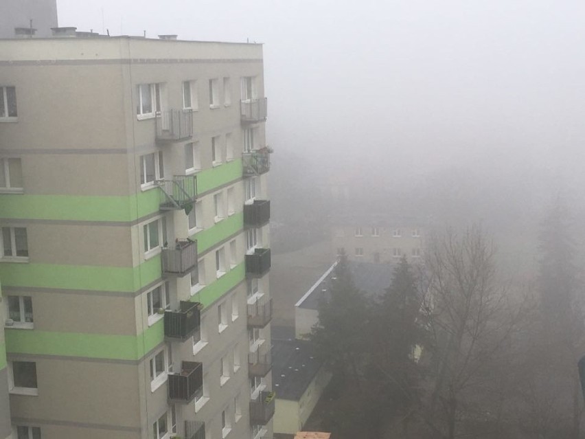 Gęsta mgła w Zielonej Górze i w pozostałych powiatach woj....