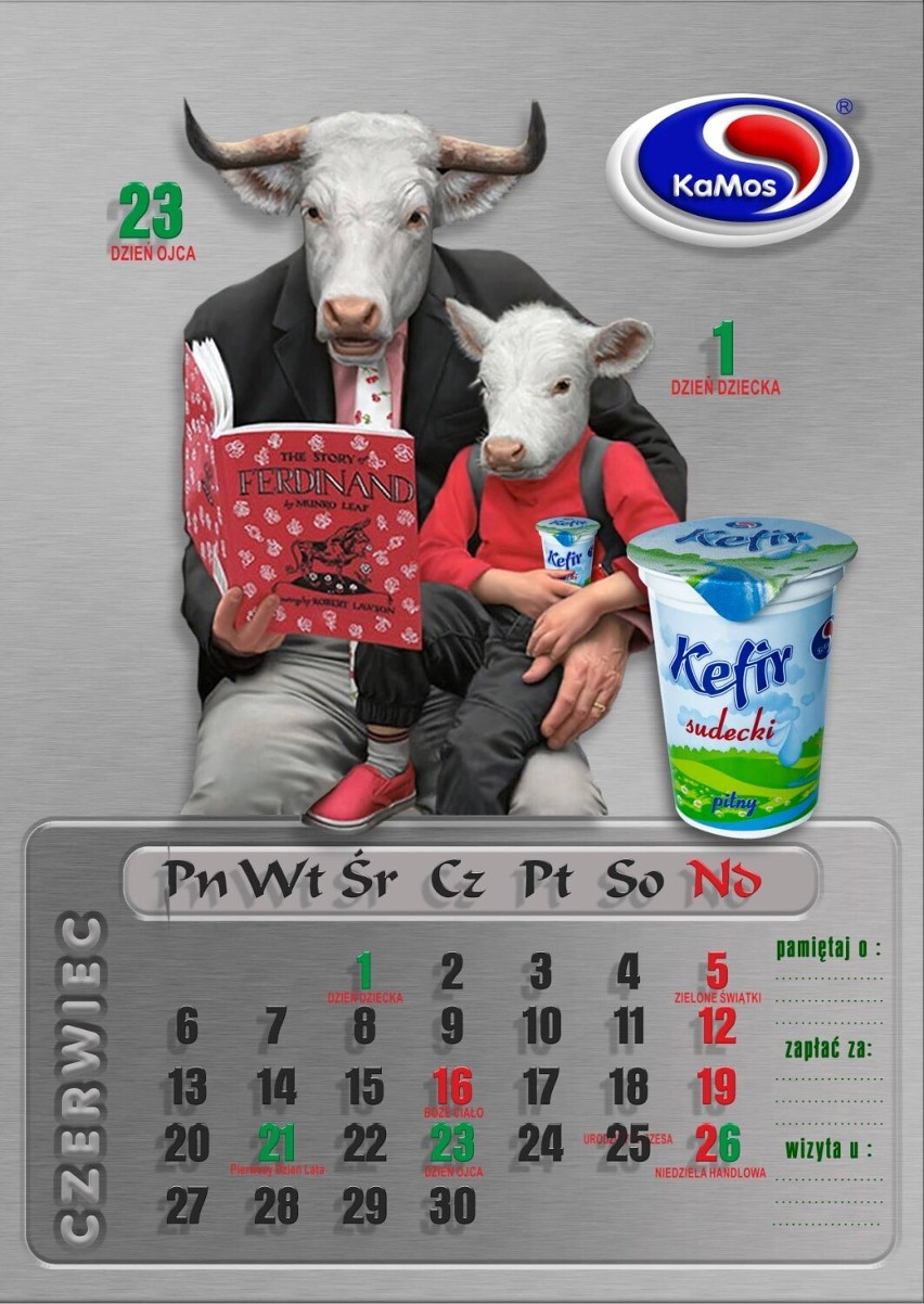 Zobacz nowy kalendarz spółdzielni mleczarskiej "Kamos" z Kamiennej Góry. Zobacz zdjęcia! 