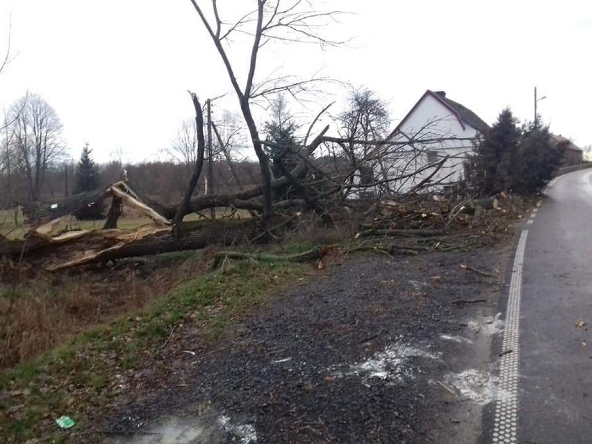 Strażacy walczą ze skutkami wichury w regionie [ZDJĘCIA]