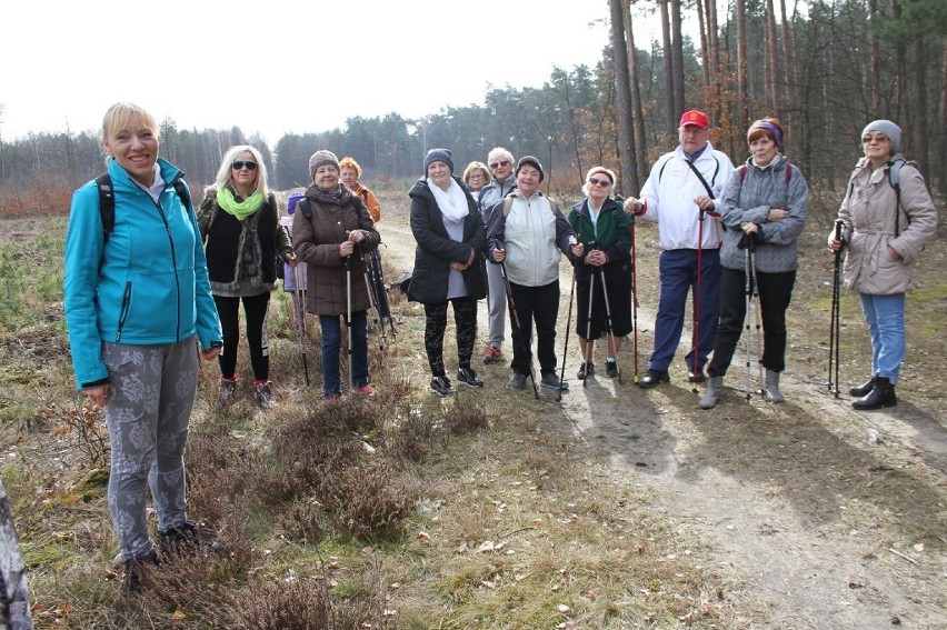 Rajd nordic walking w Tomaszowie zorganizował Miejski Ośrodek Kultury