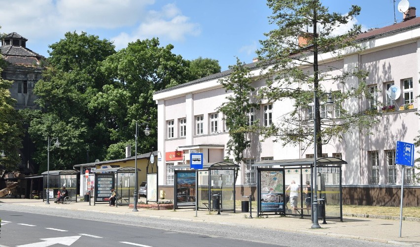  Malbork. Przystanki autobusowe wkrótce się zazielenią. Na początek wybrano trzy, które mają być obsadzone pnączami