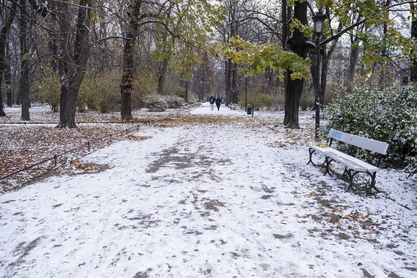 Warszawa pod śniegiem! Uwaga na drogach i chodnikach. Pierwszy śnieg w stolicy już w listopadzie. Miesiąc przed zimą